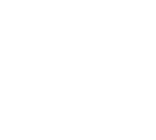 Residential structure blueprint icon